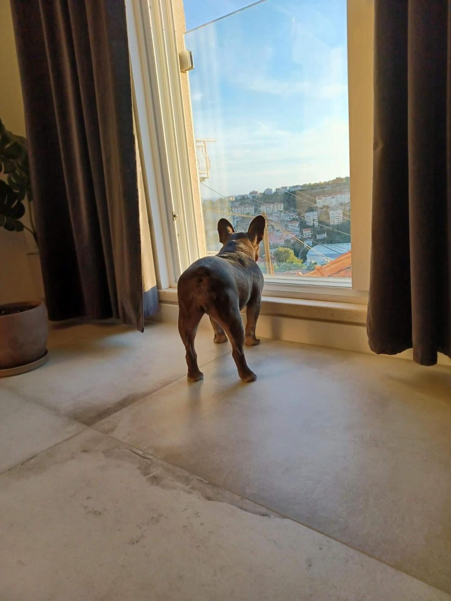 Apartment Eni Dubrovnik Eksteriør billede